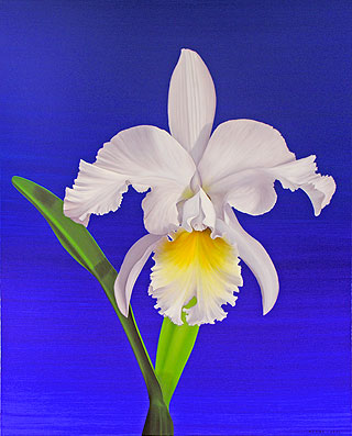 Roberto Azank - "White Orchid"