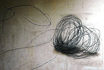 "Barbed Wire" by Erica Hopper