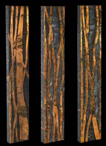 "Tall Trees" - Gail Taylor